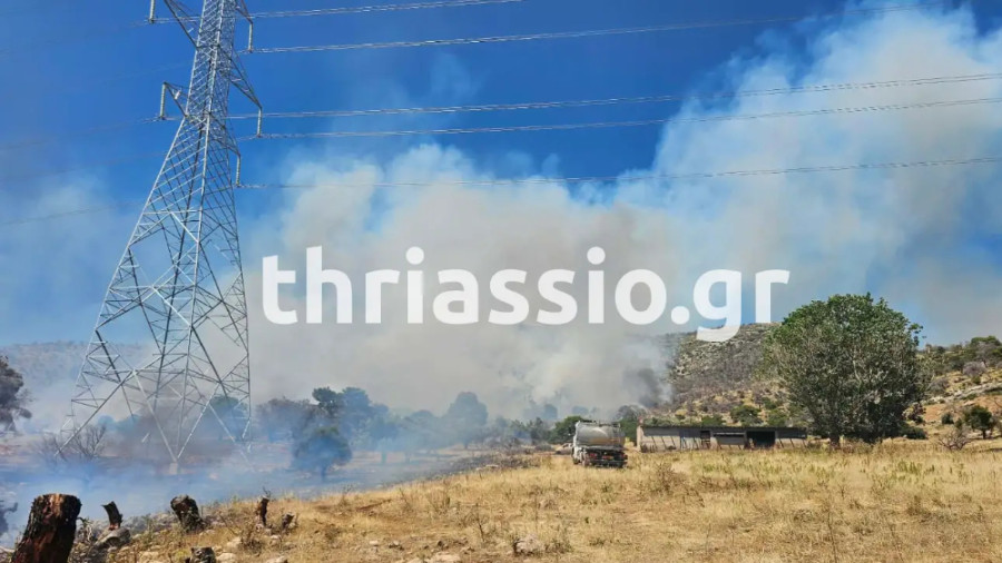 Φωτιά Ασπρόπυργος: Σηκώθηκαν 5 ελικόπτερα- Συμμετέχουν εκατοντάδες πυροσβέστες (vid) 4 fotia-aspropyrgos-2_23716.jpg