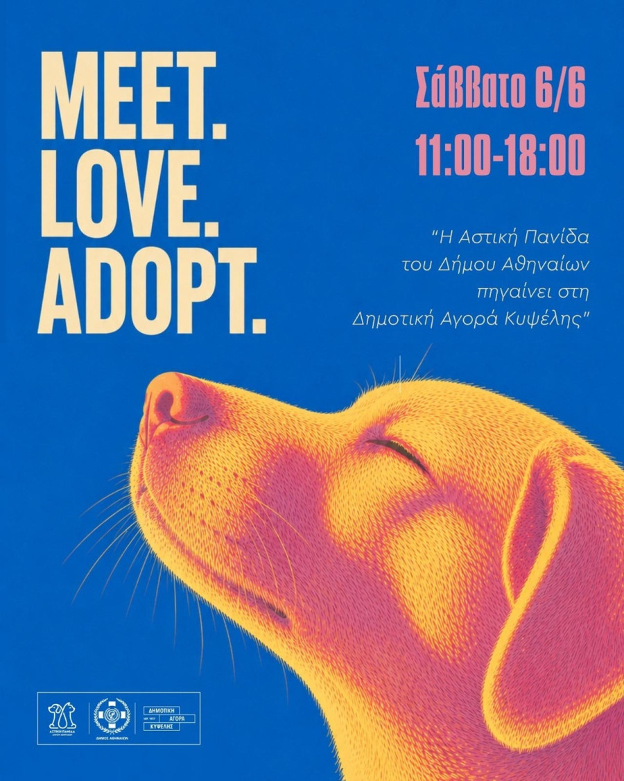 adopt1_376fe.jpeg