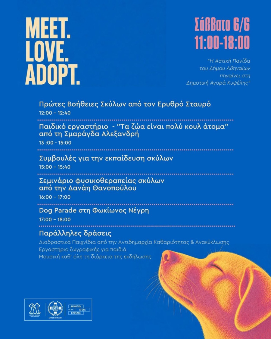 adopt2_2a66b.jpeg