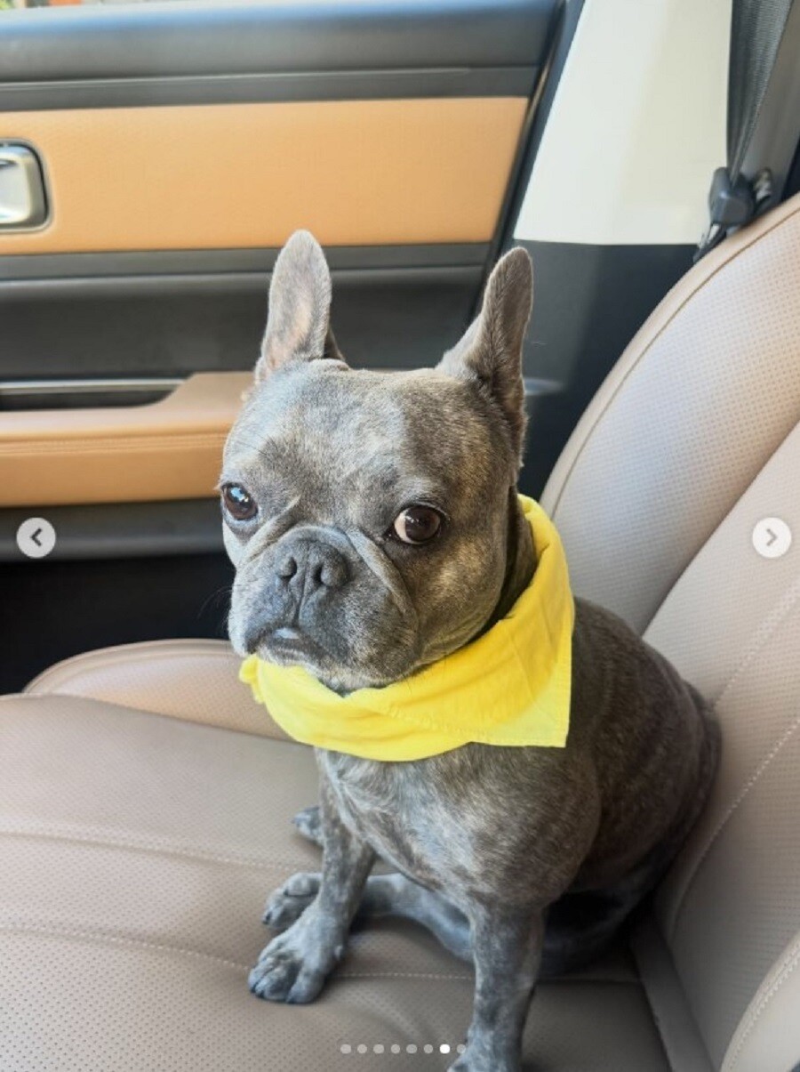 barka_4_a5b42.jpg