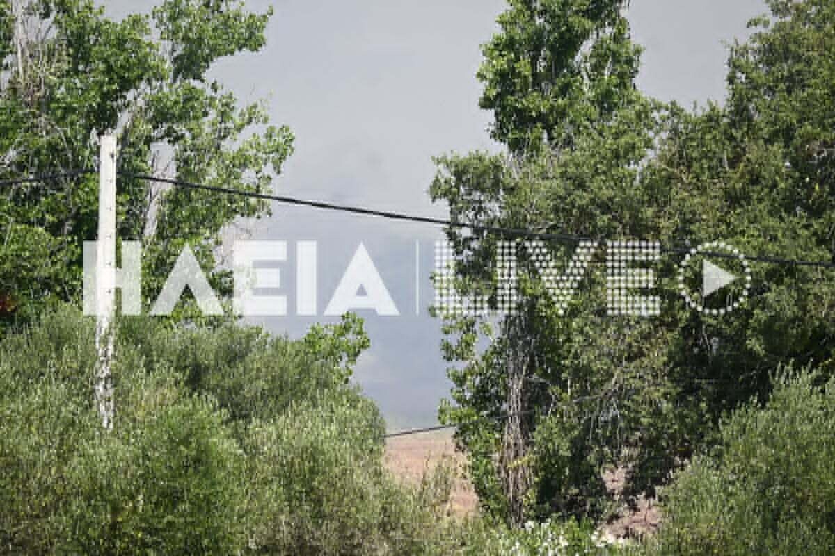fotia varda 6 e32b1