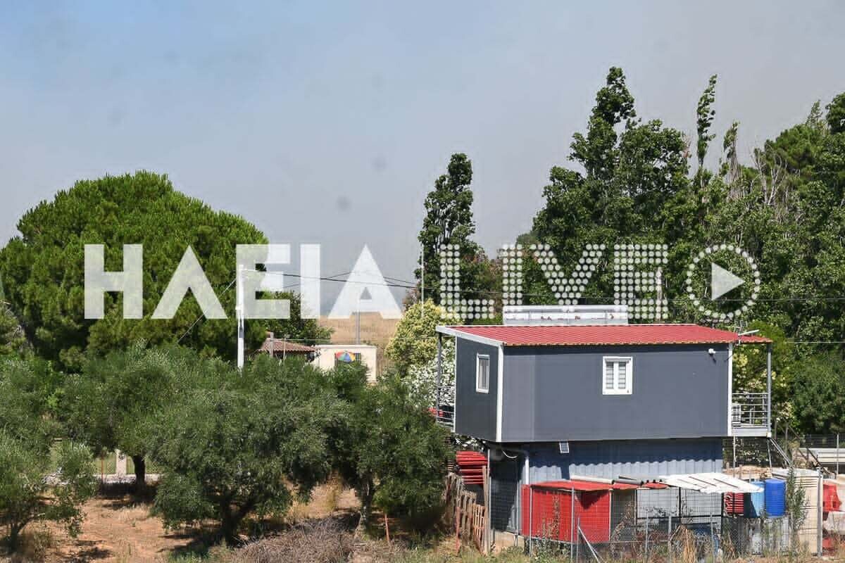 fotia varda 7 8c0a5