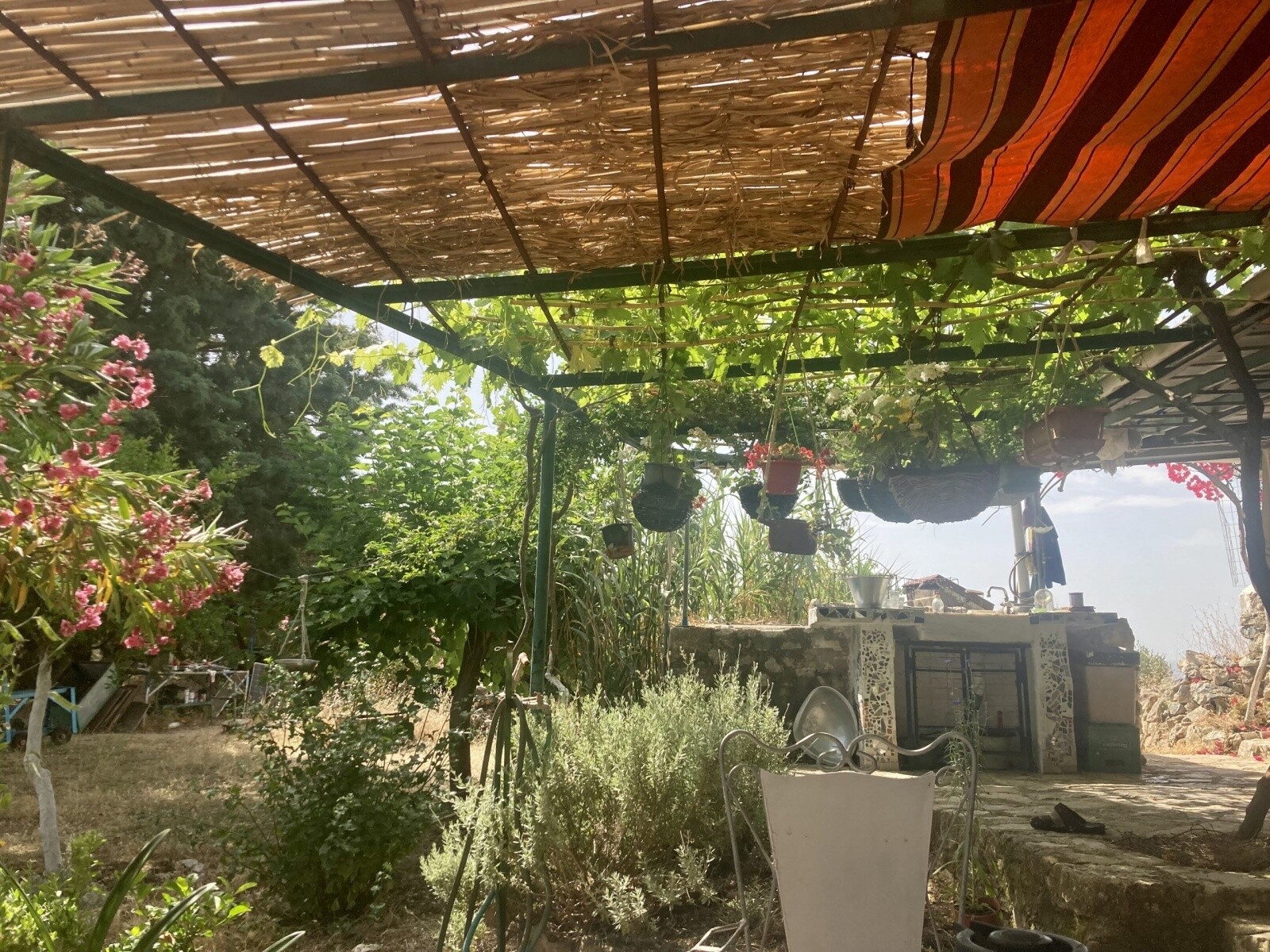 σαρακινικο 6 e455a