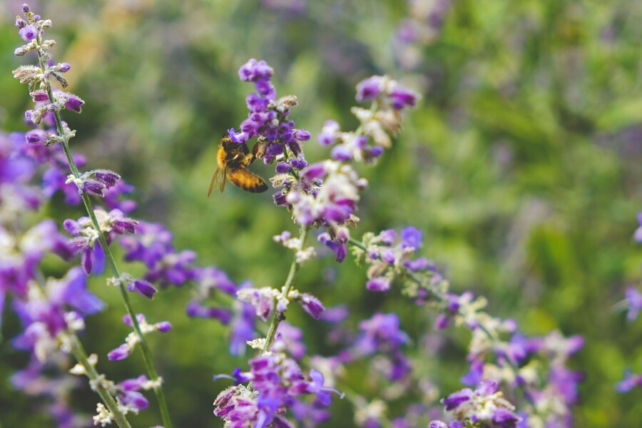 scotty-turner-dvlq8y3ngy4-unsplash_db2c0.jpg