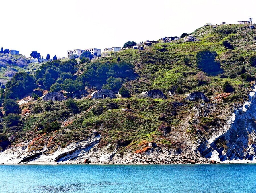 sazan1_7052f.jpg