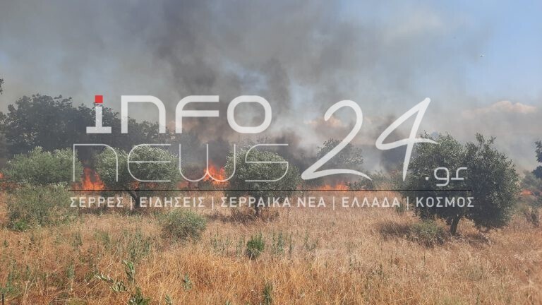 fwtia2 768x432 63bd4