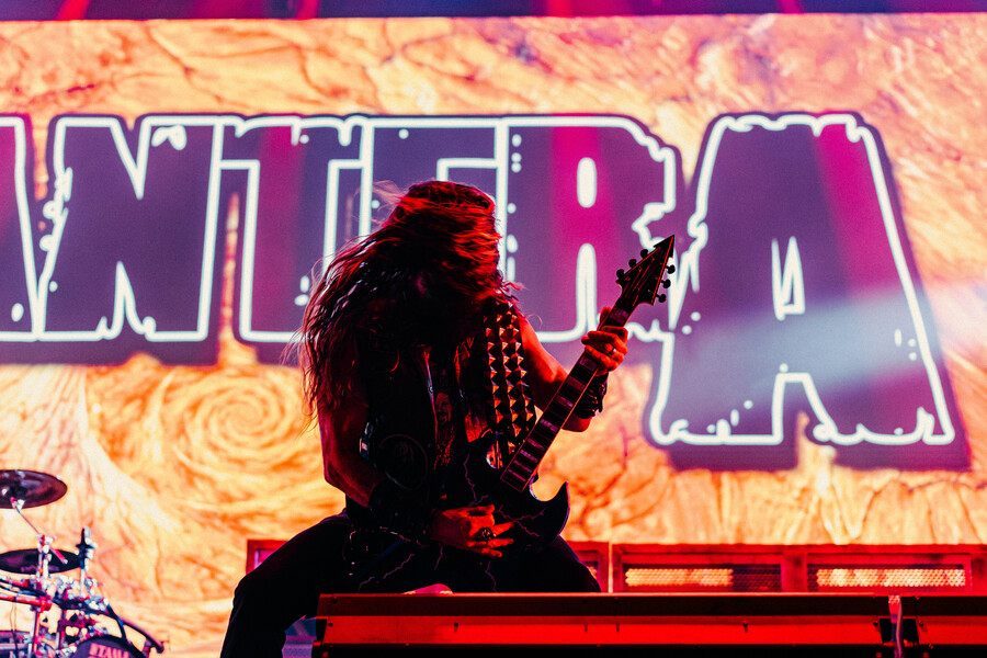 pantera-264_d82c4.jpg