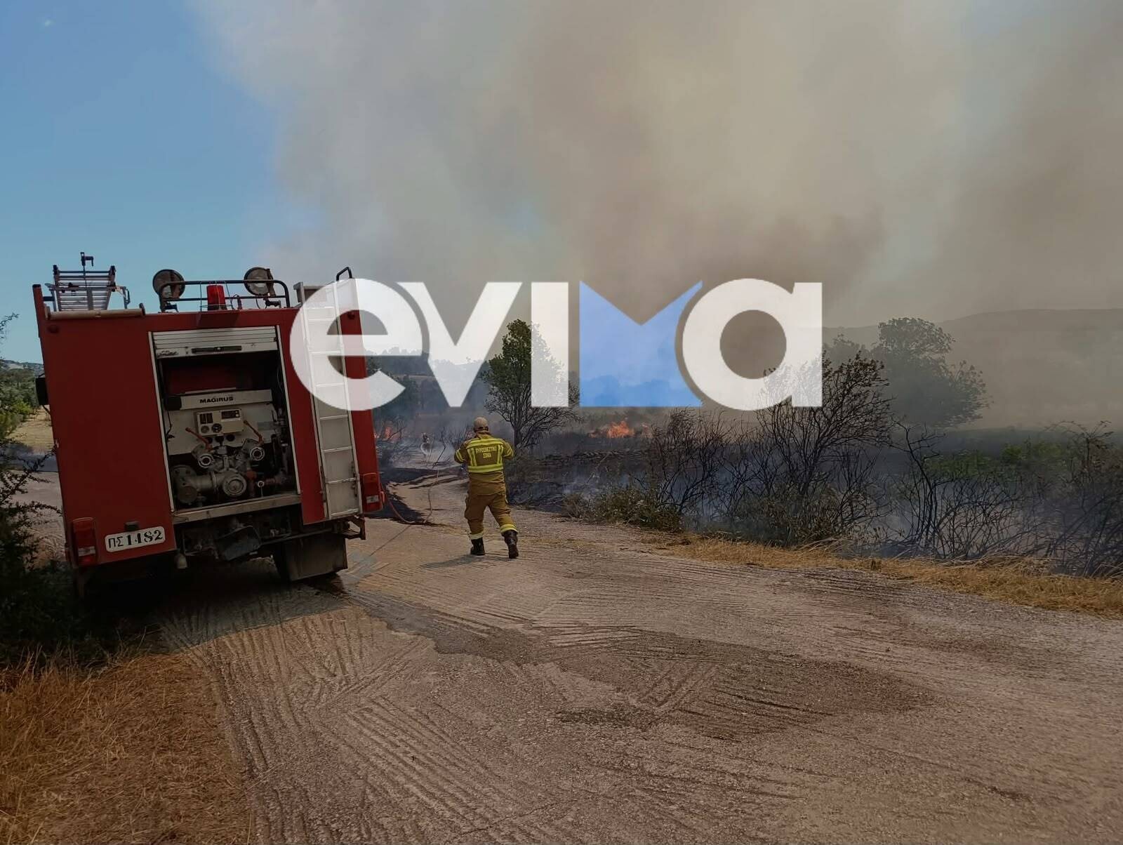 fotia evima1472 b975d