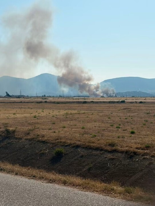 fotia-tora-koropi_cf02a.jpg