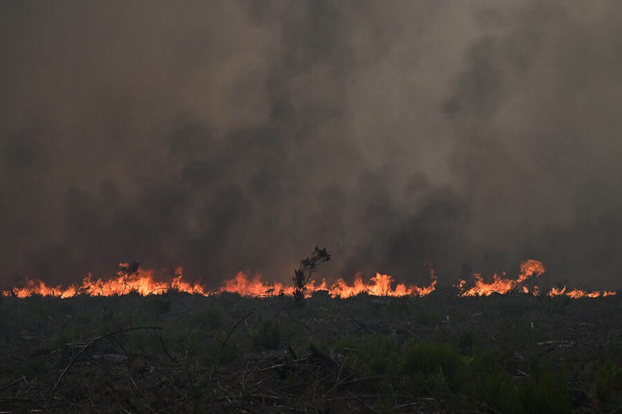 fire4_2d3c4.jpg