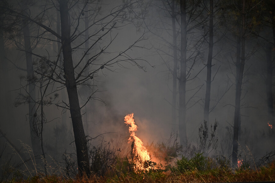 fire7_8f1f8.jpg
