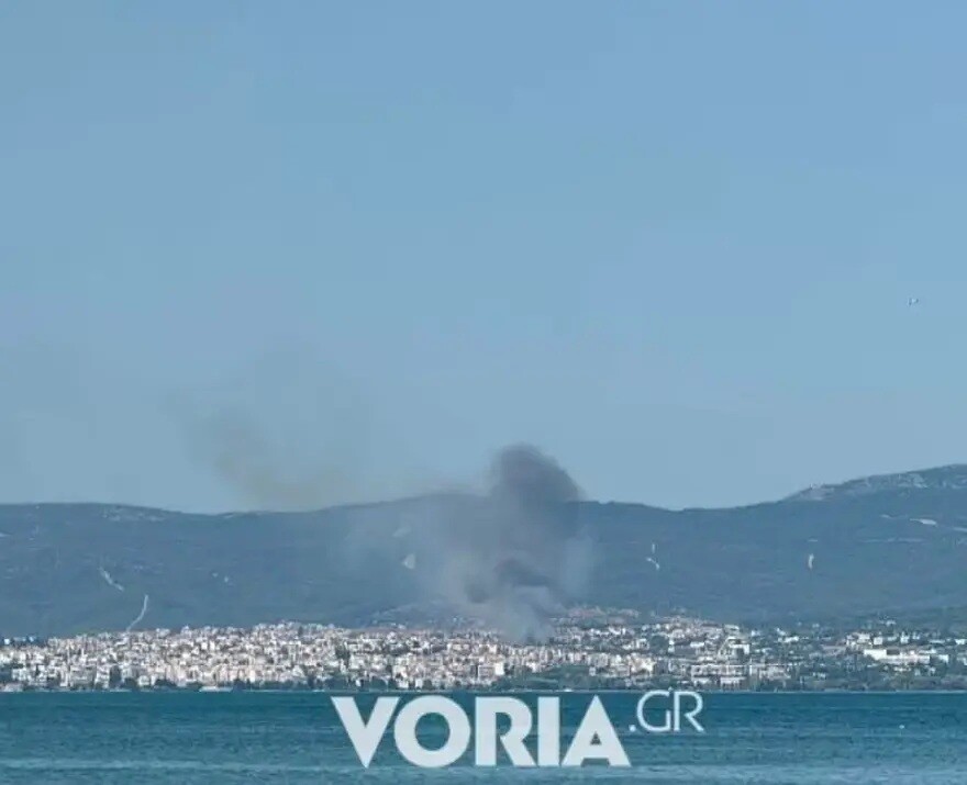 vrria_2c484.jpg