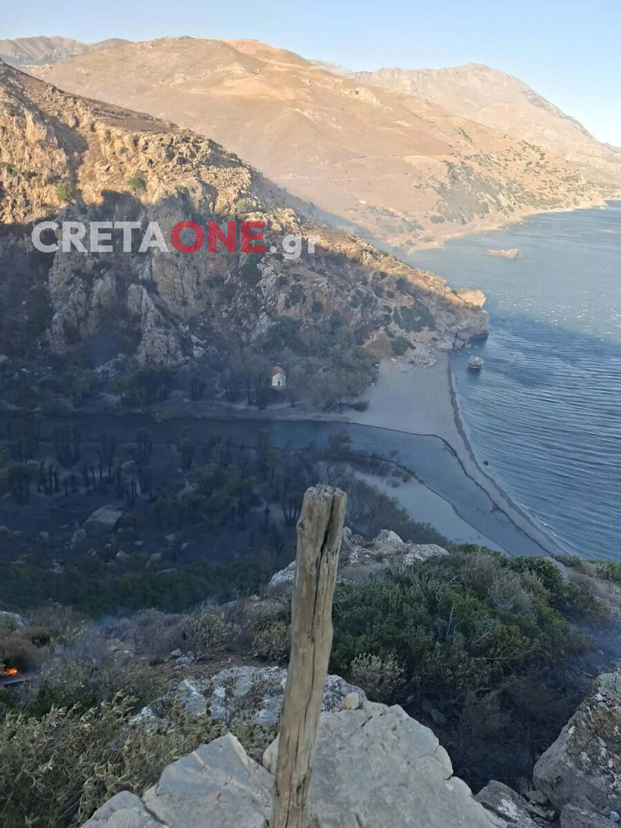 foinikodasos_preveli1_c744d.jpg