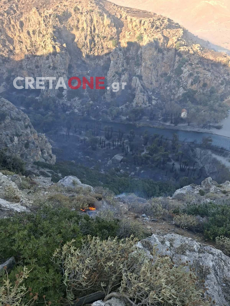 foinikodasos_preveli2_72f08.jpg