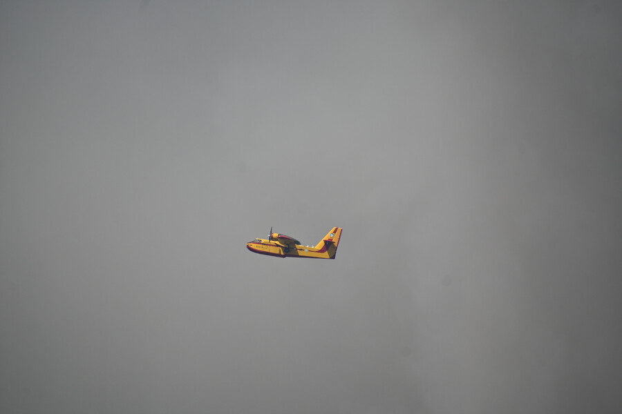 7047762_2b8de.jpg