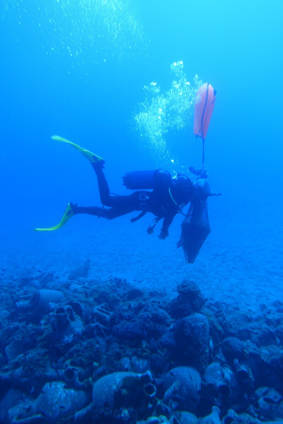 dytis-amforeis_94033.jpg