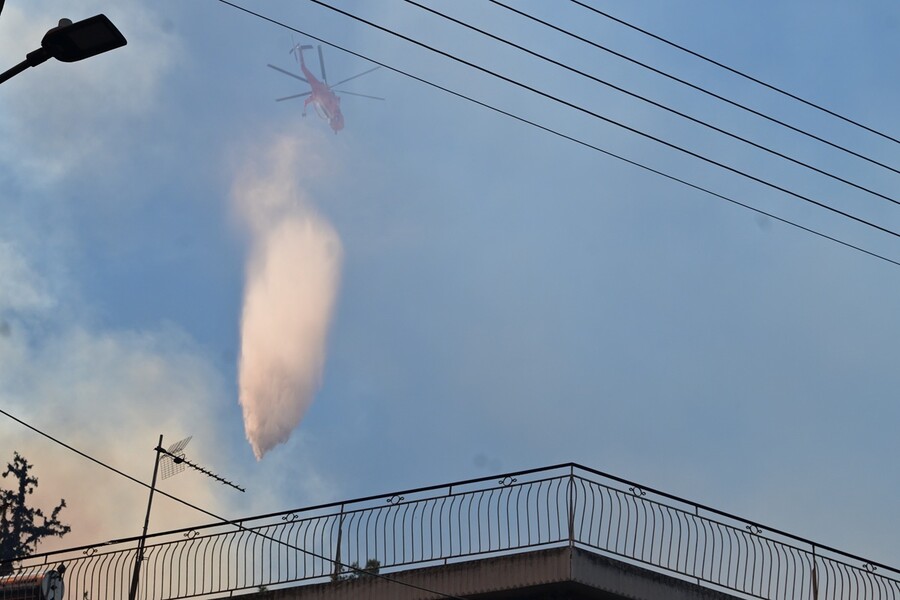 fotia10_921a8.jpg