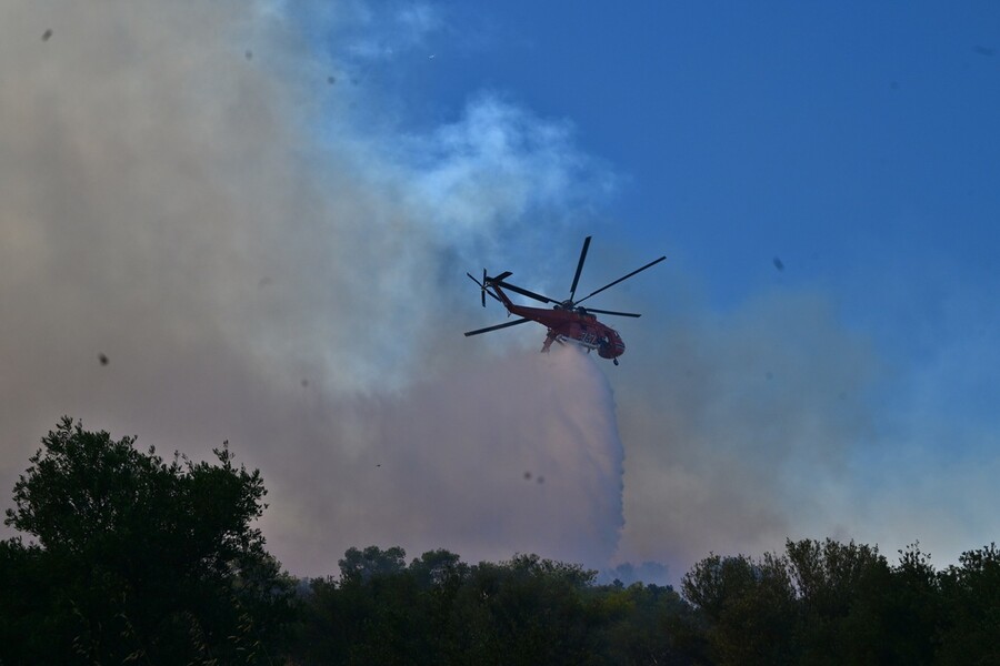 fotia15_07835.jpg