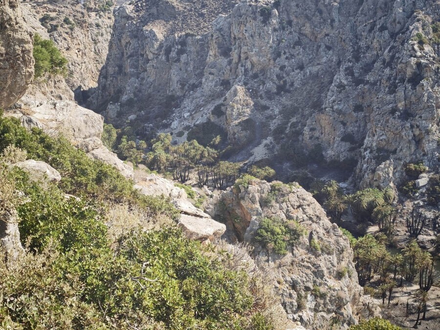 fotia_preveli1_e2790.jpg