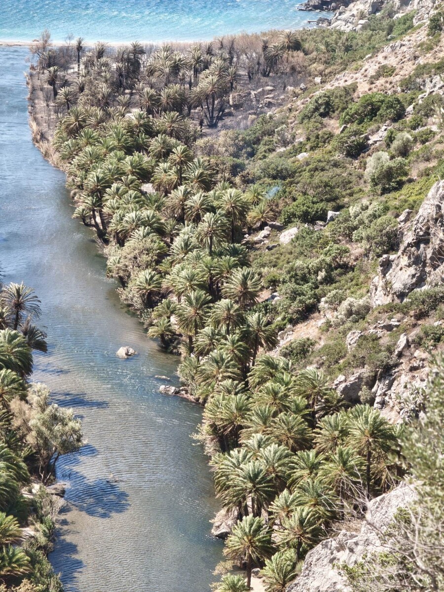fotia_preveli2_f4d19.jpg