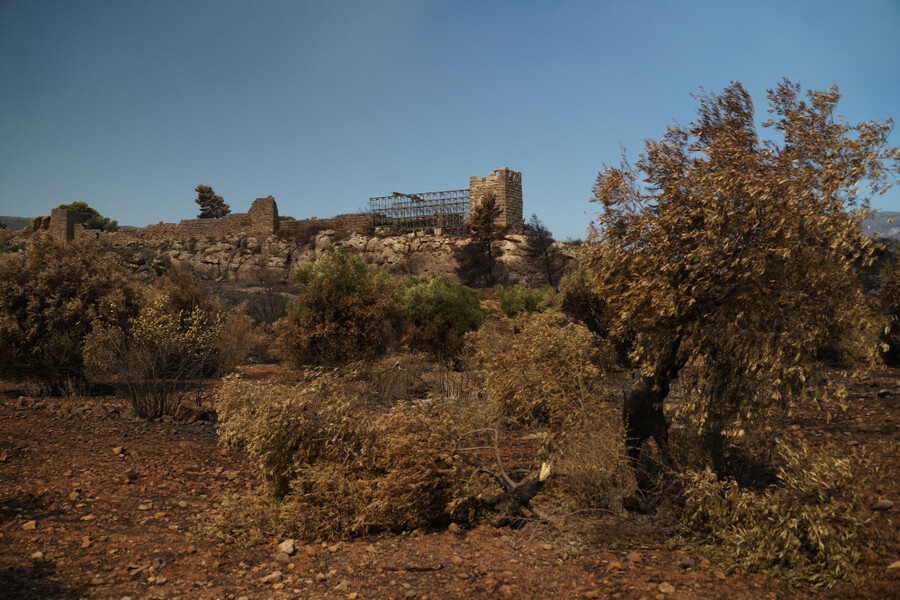 fotia13_08750.jpg