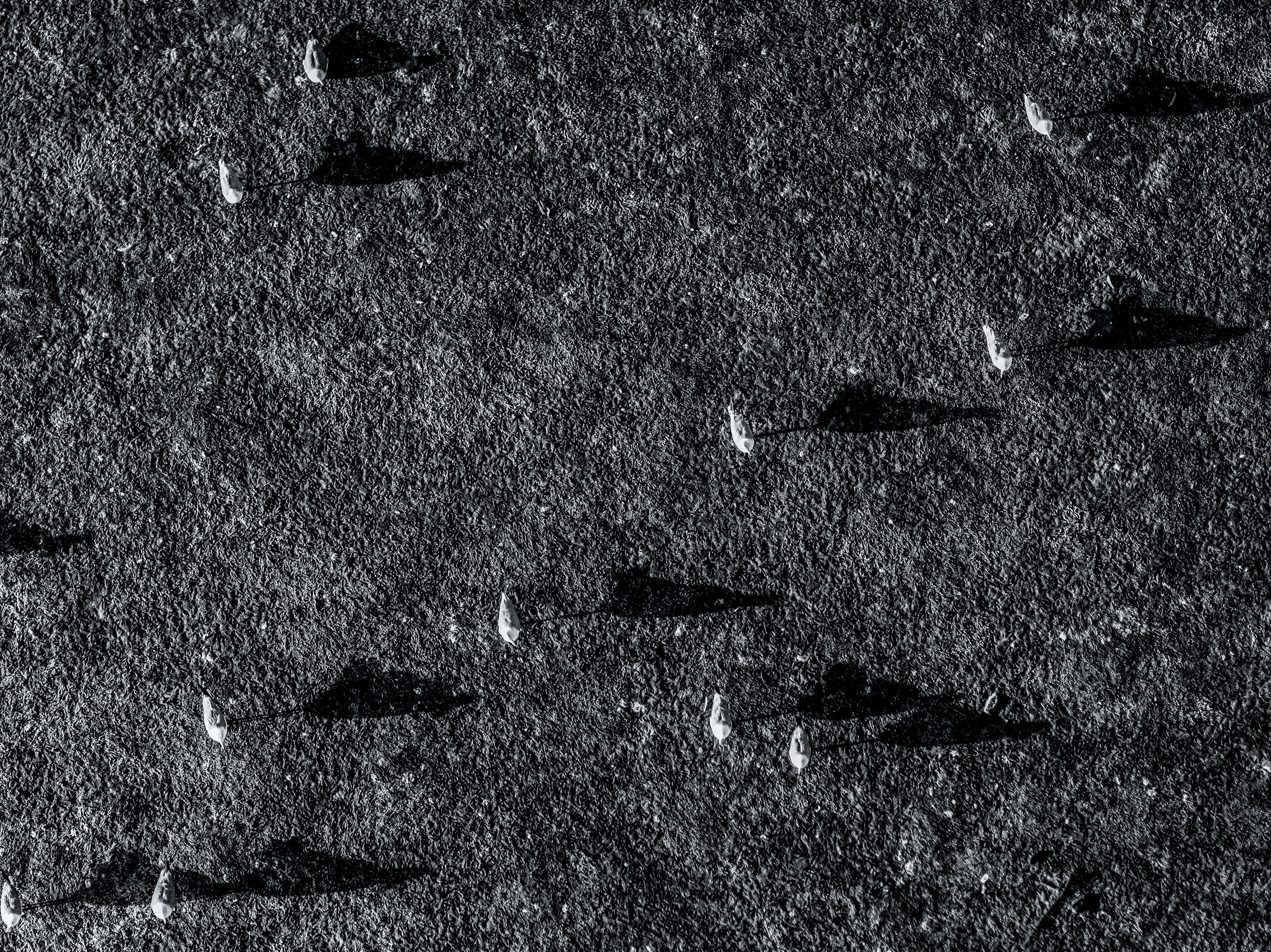 7050504 34a77
