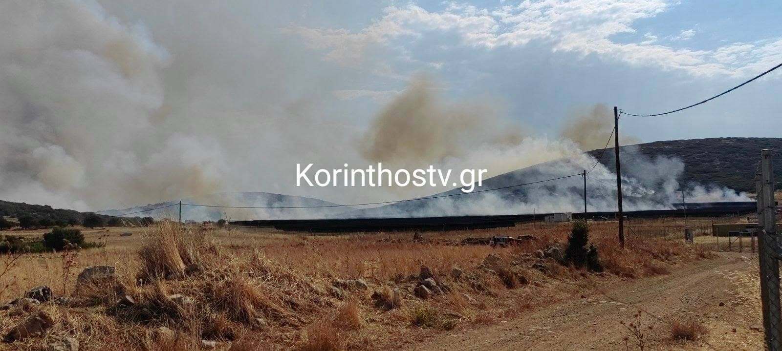 stef2 50e713071d9206c1
