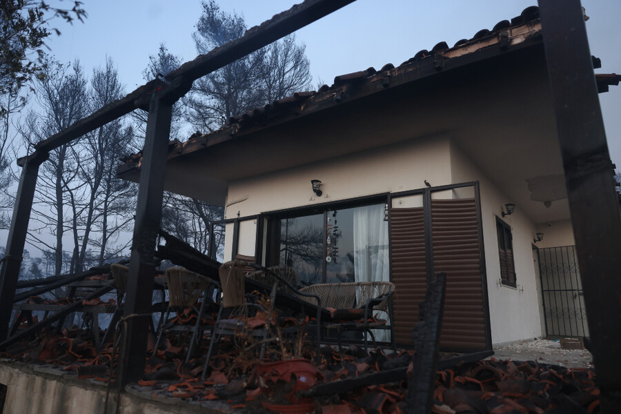 fotia-sibiri3_4a608302b4184872.jpg