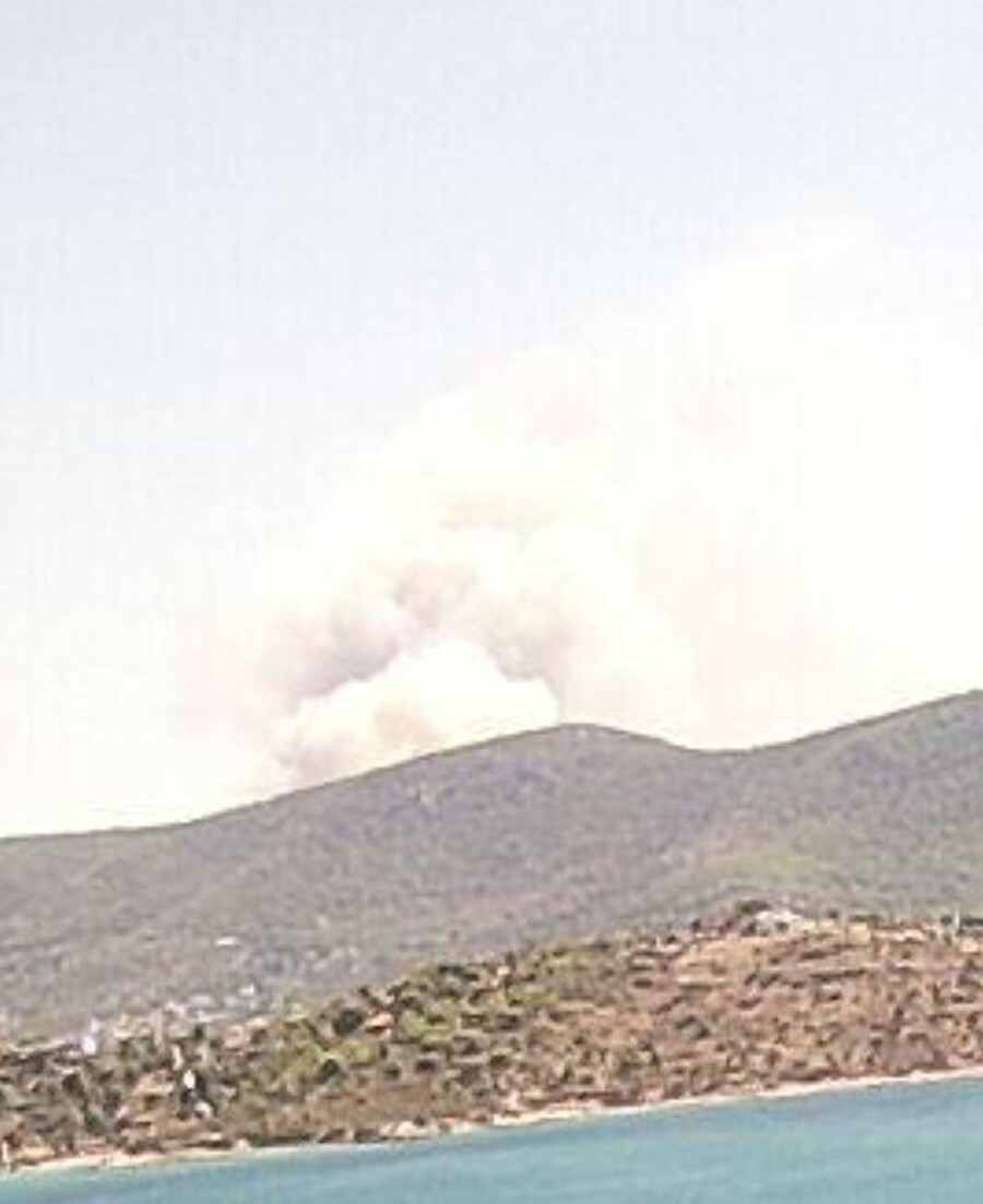 εικόνα_viber_2026-08-16_14-52-57-226_95750efb1acf2d85.jpg