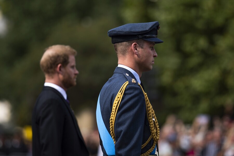 william_harry_c5ca5d5bc6e15e11.jpg