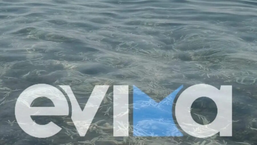 evia_4999bc7434b494c6.jpg
