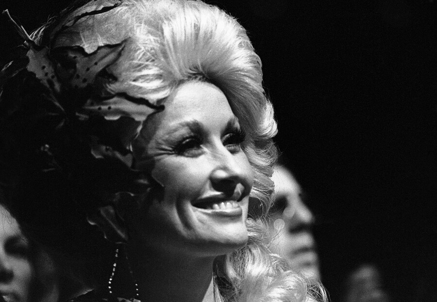 parton3_a4c9cfdf7745dfc5.jpg