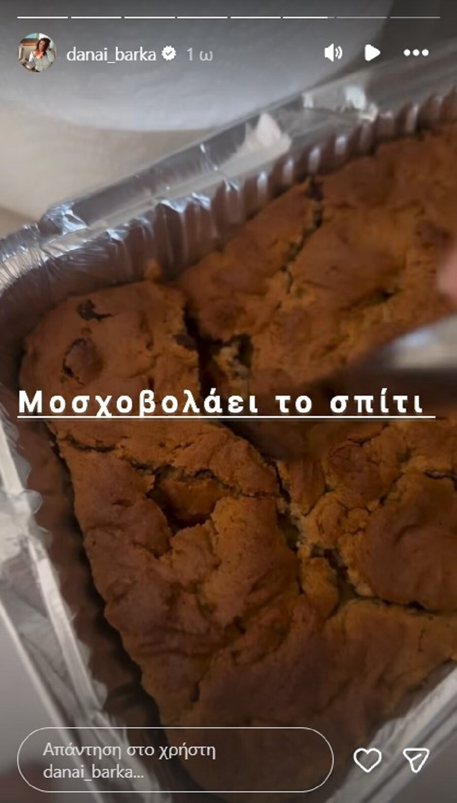 barka5_ea3b38210d921e2c.jpg