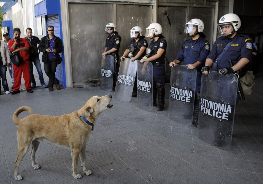loukanikos5_9506947f7b0c844c.jpg