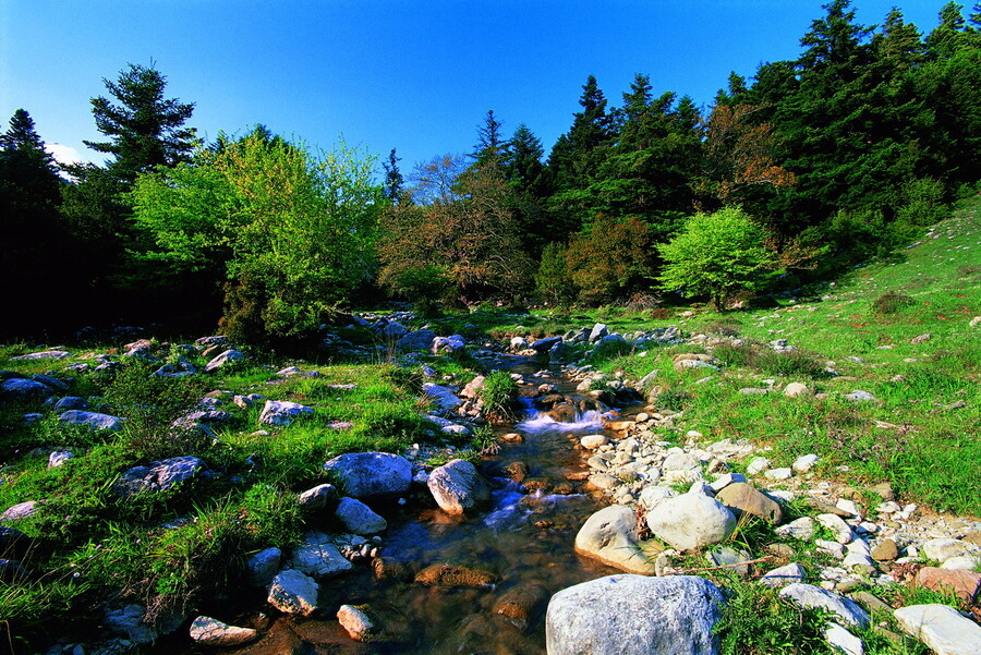 oros4_2923f4533481ed44.jpg