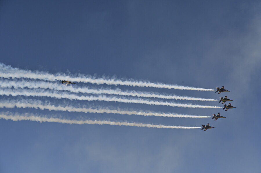 fly13_4cef44174f95c131.jpg