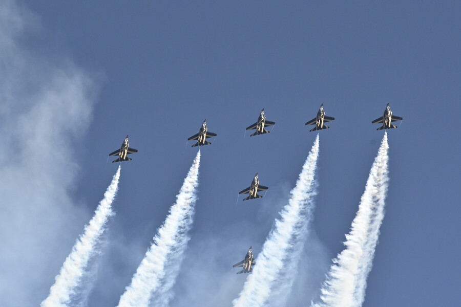 fly15_d9a7ed5c28d59e95.jpg