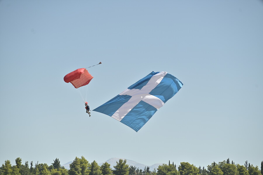 fly4_9804c36f5b80c847.jpg