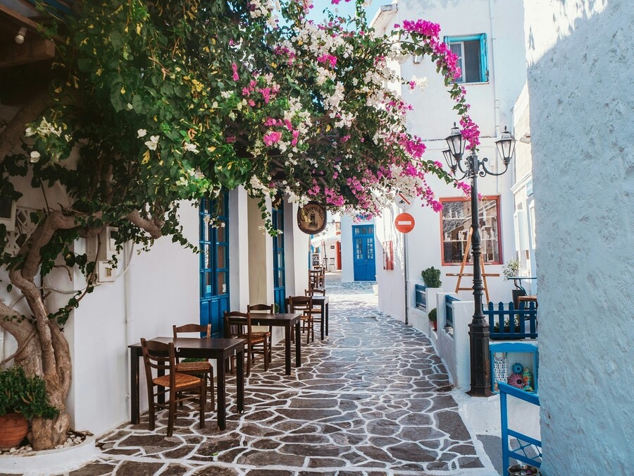 milos_mesa_cdb562c7105c1075.jpg