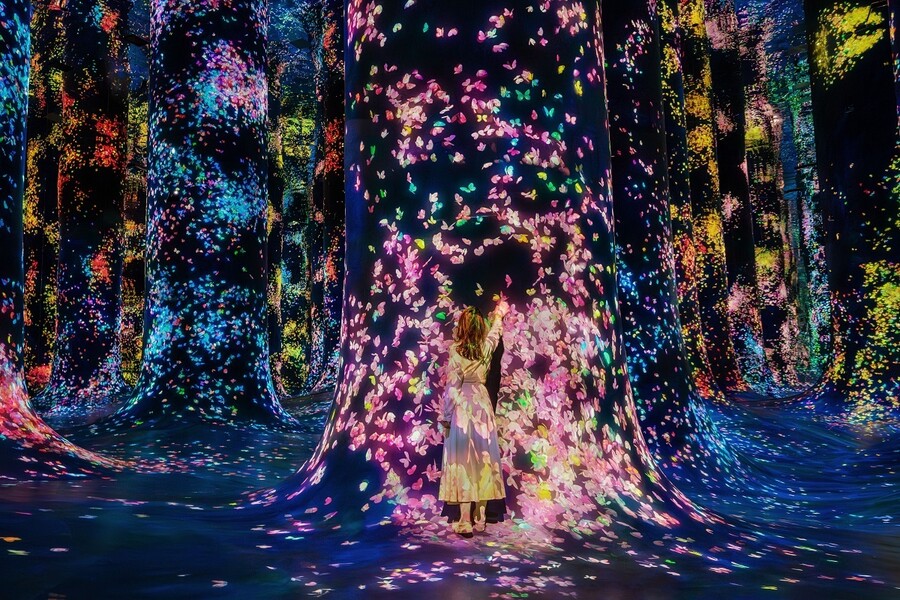 teamlab_phenomena_abu_dhabi_153a72b328cc3612.jpg