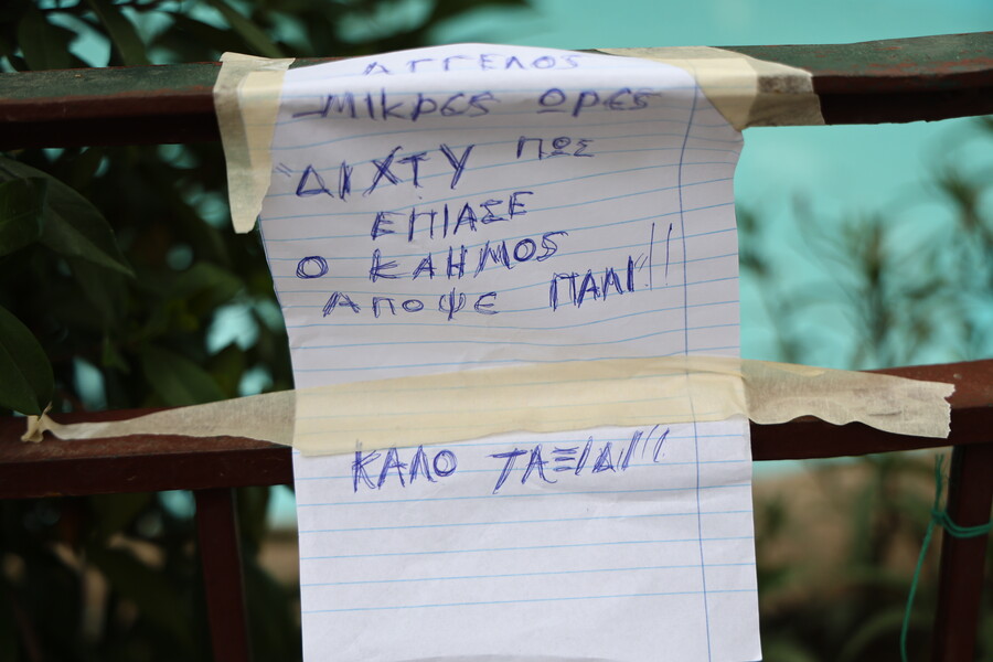 mazo8_1e848902fae56301.jpg