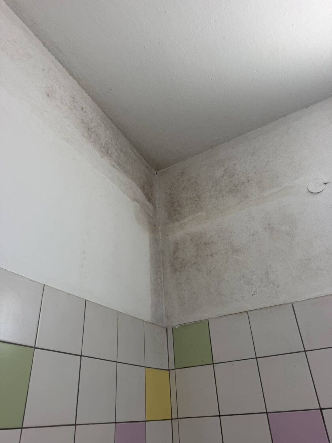 sxoleio diavata1 1152x1536 62cb61b8e26a223d