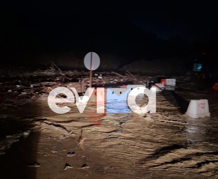 ecoia_a5be834c4e84282e.jpeg