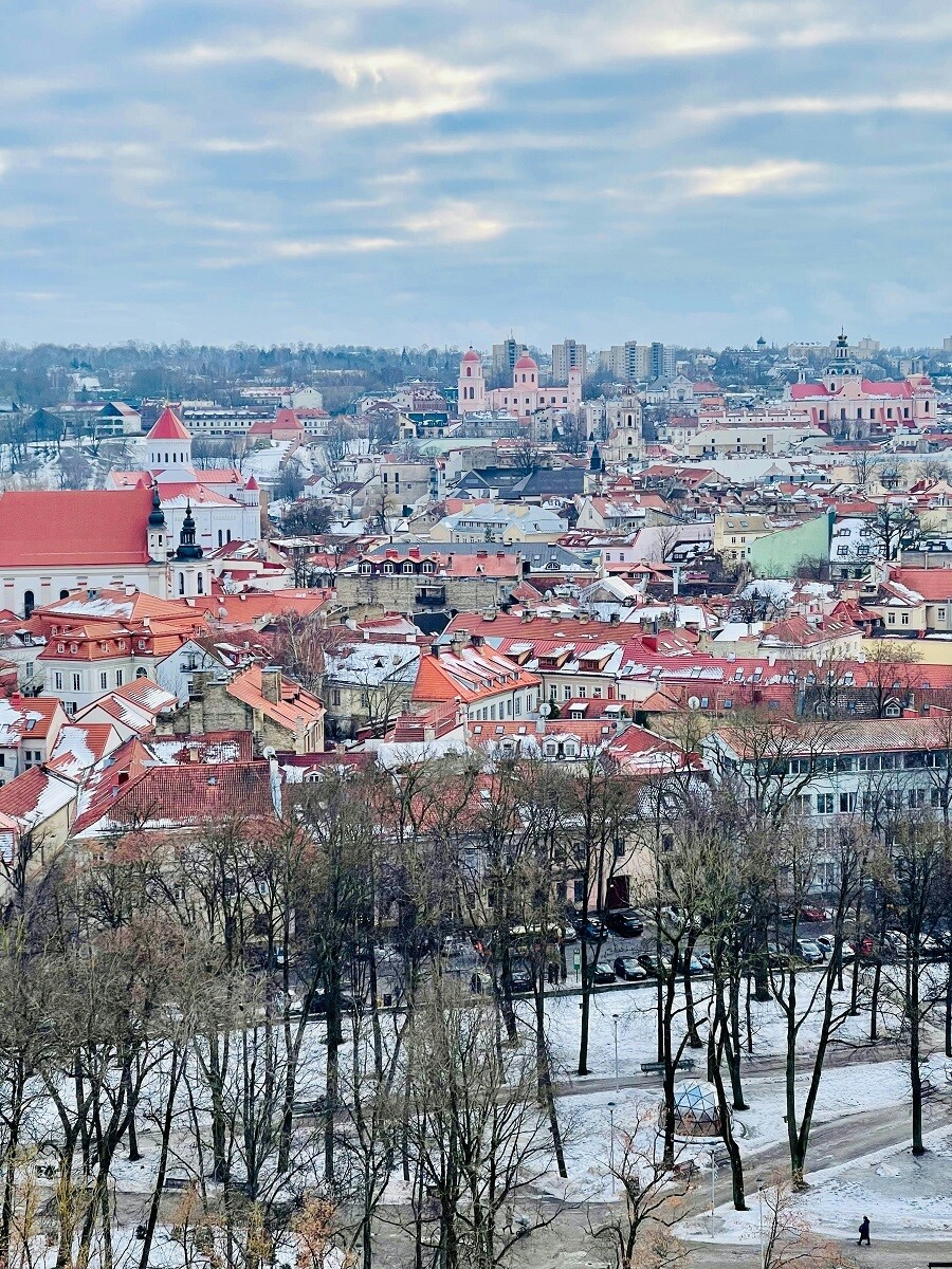 vilnius_mesa2_e6122bf62d3ccce8.jpg