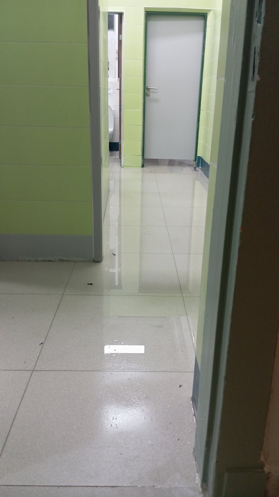 εικόνα viber 2026 10 14 21 49 34 698 41b9637faa51db0e