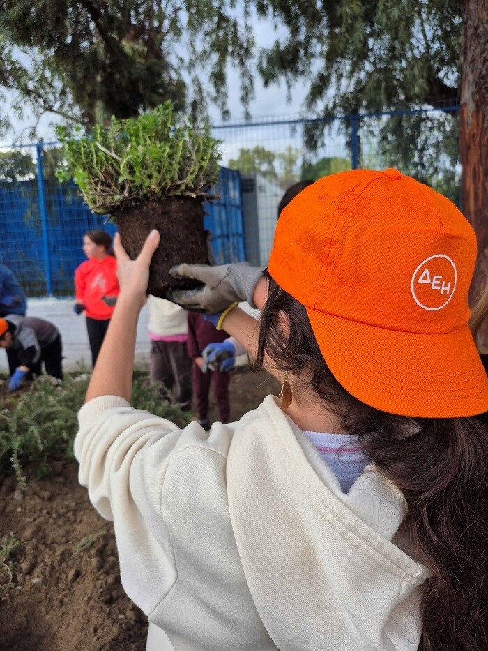 δεη_-_sustainability_seeds_2_856b7447d33605d6.jpg