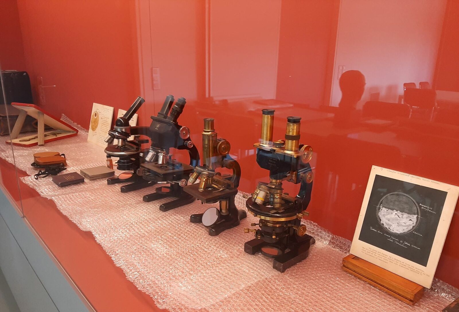 Μικροσκόπια του Α. Φλέμινγκ