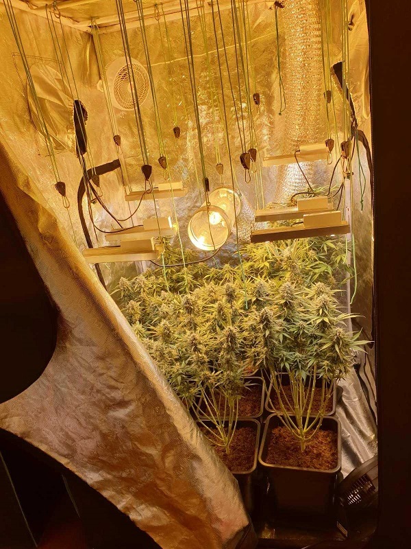 εικόνα Viber 2019 12 10 15 10 03