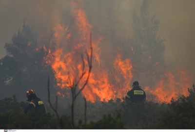 Φωτιά: Καίγονται Καπανδρίτι, Κρυονέρι και Ιπποκράτειος Πολιτεία - Στις φλόγες σπίτια και επιχειρήσεις, αγωνία για εγκλωβισμένο (βίντεο)