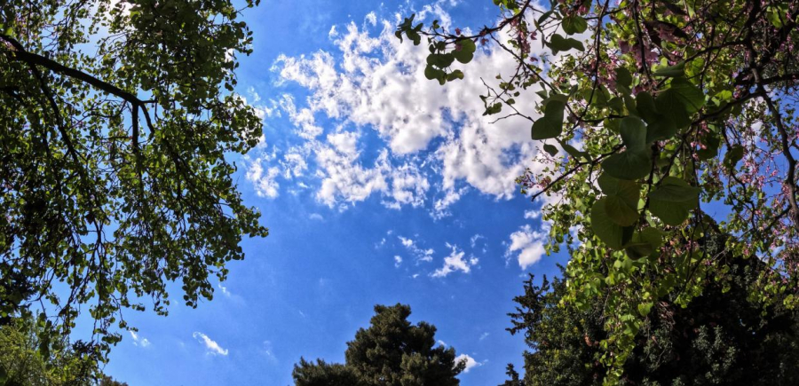 Με τι καιρό θα γιορτάσουμε του Αγίου Δημητρίου: Η ανάλυση Ζιακόπουλου